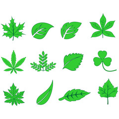 leaf icon, autumn season icon vector design symbol