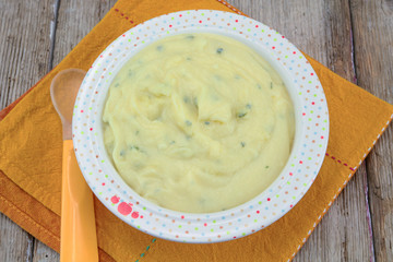 puree in a baby's plate