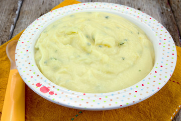 puree in a baby's plate