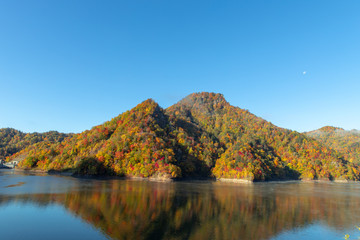 札幌湖の紅葉