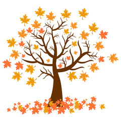 leaf icon, autumn season icon vector design symbol