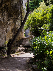 Ancient Syracuse (neapolis) gardens