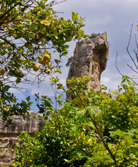 Fototapeta premium Ancient Syracuse (neapolis) gardens