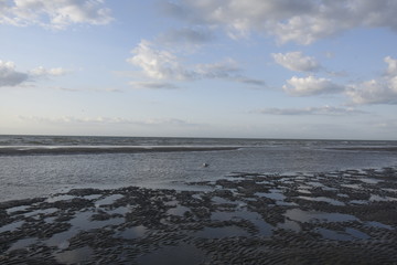 le bain de  la mouette