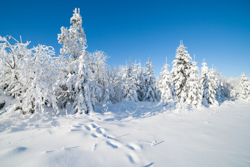 beautiful sunny winter day
