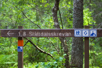 sign in the forest