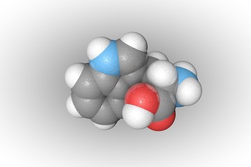 Space-filling molecular model of tryptophan. Atoms are represented as spheres with conventional color coding: carbon (grey), oxygen (red), nitrogen (blue), hydrogen (white). 3d illustration