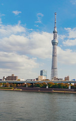 Naklejka premium Portrait on Tokyo sky tree