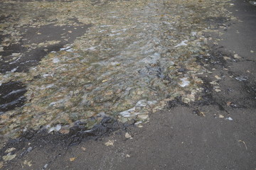 日本の落ち葉を含んで凍結した歩道