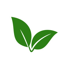 green leaf icon vector design symbol
