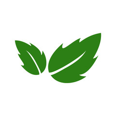 Fototapeta na wymiar green leaf icon vector design symbol