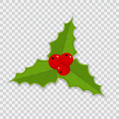 Holly berry Christmas icon. Holly berry vector illustration