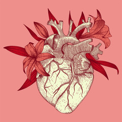 Vector illustration of anatomy heart with lily flowers for t-shirt print for st. valentines day