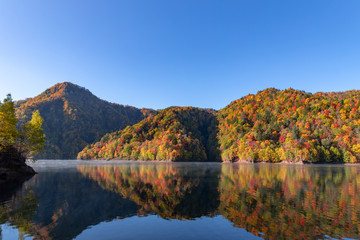 札幌湖の紅葉