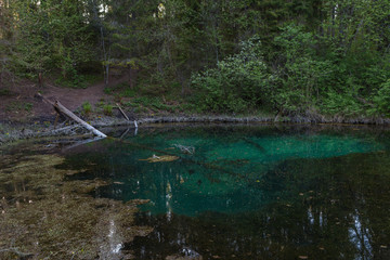 Sacrificial Saula blue springs in a pond, Estonia, Europe. Natural wonder