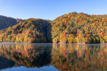 札幌湖の紅葉