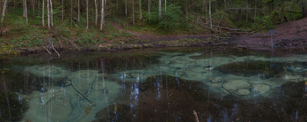 Sacrificial Saula blue springs in a pond, Estonia, Europe. Natural wonder
