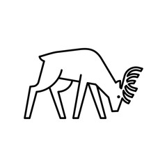 Deer line icon. Icon design. Template elements