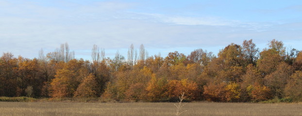 Paesaggio autunnale in Dicembre