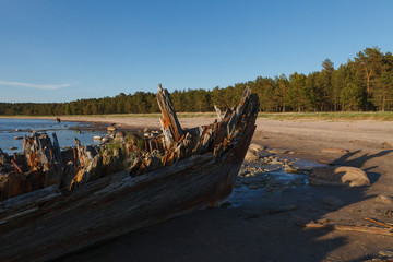 The "Raketa" ship wreck on the Loksa beach in Estonia. The ship was built in 1949 in Finland