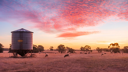 Sunset over a sheep farm in outback Victoria Australia
