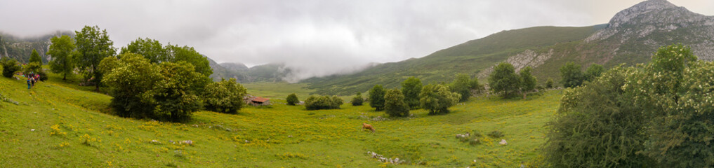 Naklejka premium Large panorama of green meadow