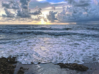 morning at the Miami ocean beach