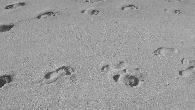 Closeup view video footage of many footprints of barefoot people seen on wet surface of sandy morning beach. 