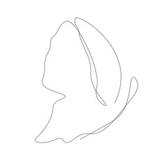 Butterfly one line drawing, vector illustration