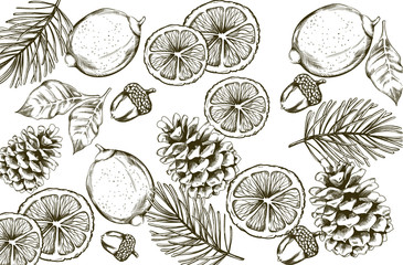 Lemon and fir branches line art style composition with ornaments