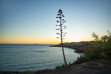 Obraz premium October 6, 2019 Sete city in the south of France, sunset on the beach