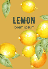 Lemons with green leaves natural composition vectors