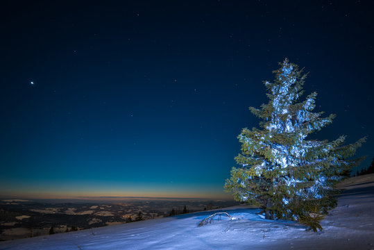 Beautiful landscape with majestic tall fir trees