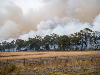 smoke from a large bushfire