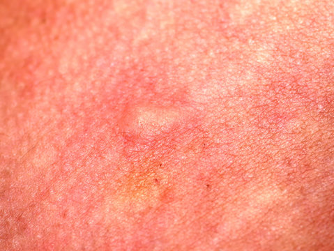 interestingとは 意味・読み方・使い方 visual data 7