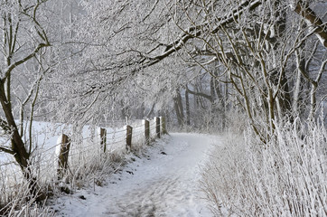 Winterweg