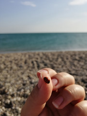 ladybug lands on finger of a hand at the sea, in a summer day, lucky charm. Ladybug on the hand against the sea. Selective focus