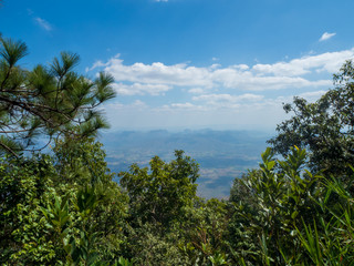 Fototapeta na wymiar Mountain view and tree with blue sky at Phu Kra Dueng Loie Thailand