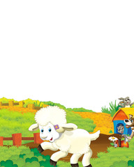 cartoon scene with sheep having fun on the farm on white background - illustration for children