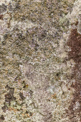 Struktur, Textur von Stein und flechten in Irland