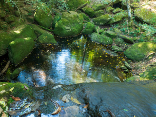 The waterfall with forest and  at Phu Kra Dueng Loei Thailand