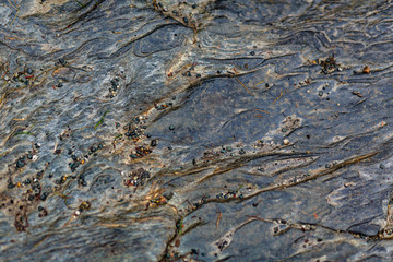 Struktur, Textur von Stein und flechten in Irland