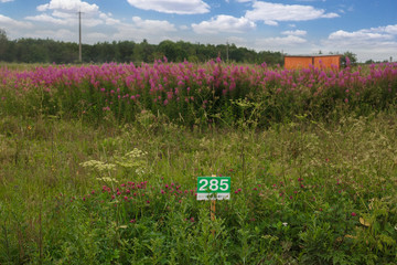 The street in the cottage settlement under construction