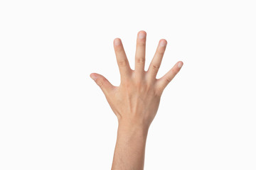 hand gesture which means five, five fingers pointing up