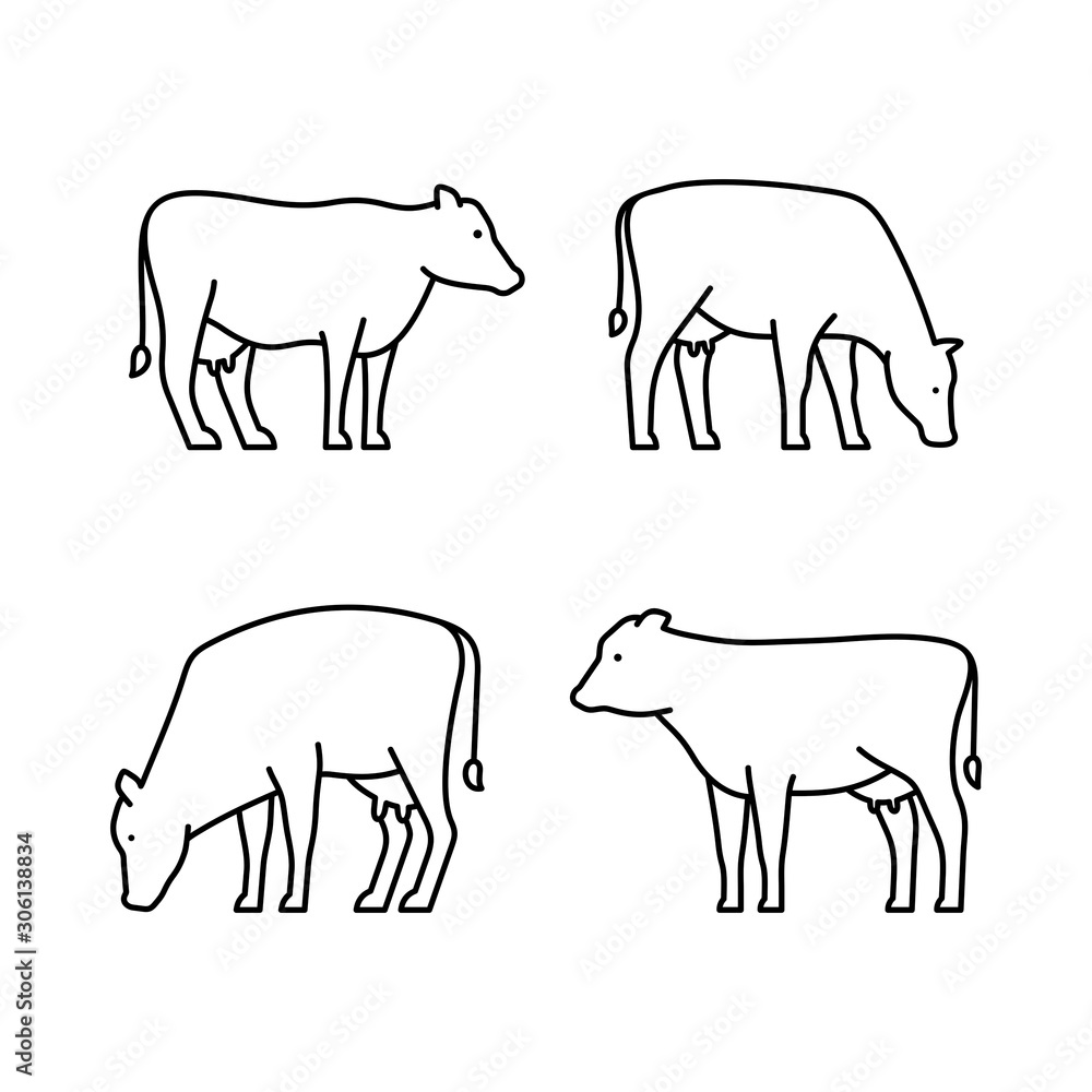 Poster set of cows line icons. icon design. template elements