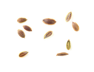 Dill seeds isolated on a white background