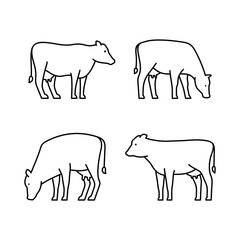 Set of Cows line icons. Icon design. Template elements