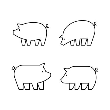 Set of Pigs line icons. Icon design. Template elements