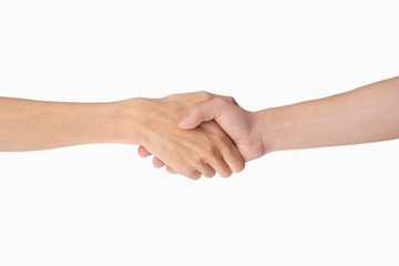 hand holding together on white background
