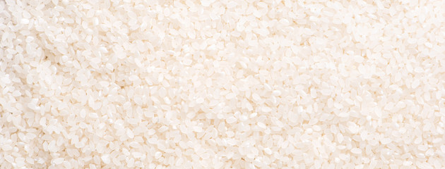 Raw white polished milled edible rice crop on white background in brown bowl, organic agriculture...
